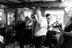 Brass Monkees Wedding Band Singer 4