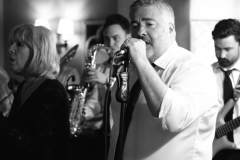 Brass Monkees Private Function Band Singer