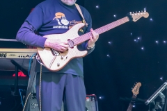 Brass Monkees Nantwich Jazz Festival 2018 Guitar