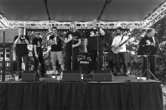 Brass Monkees Festival Band