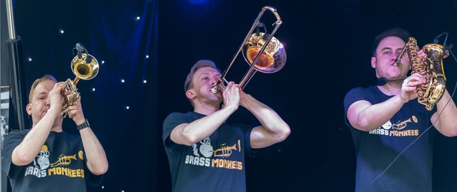 40265054085_195b51ce72_o